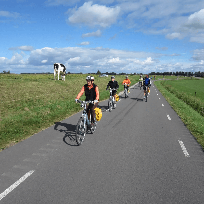 Webdesign Enkhuizen, Webdesign Snel een webdesigner - Boost jouw Online Succes met onze Hulp